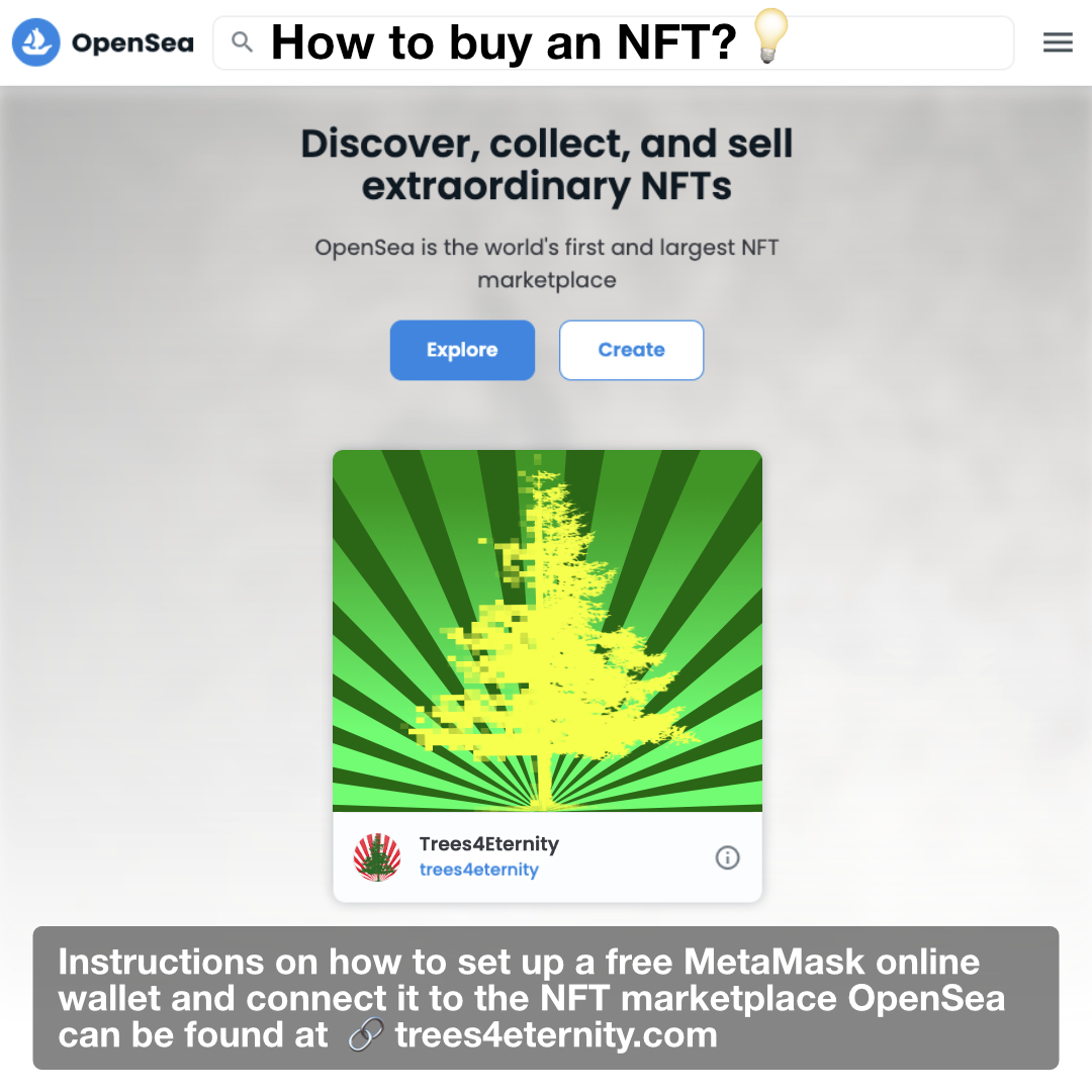 Wie man einen NFT auf dem NFT Marktplatz OpenSea kauft