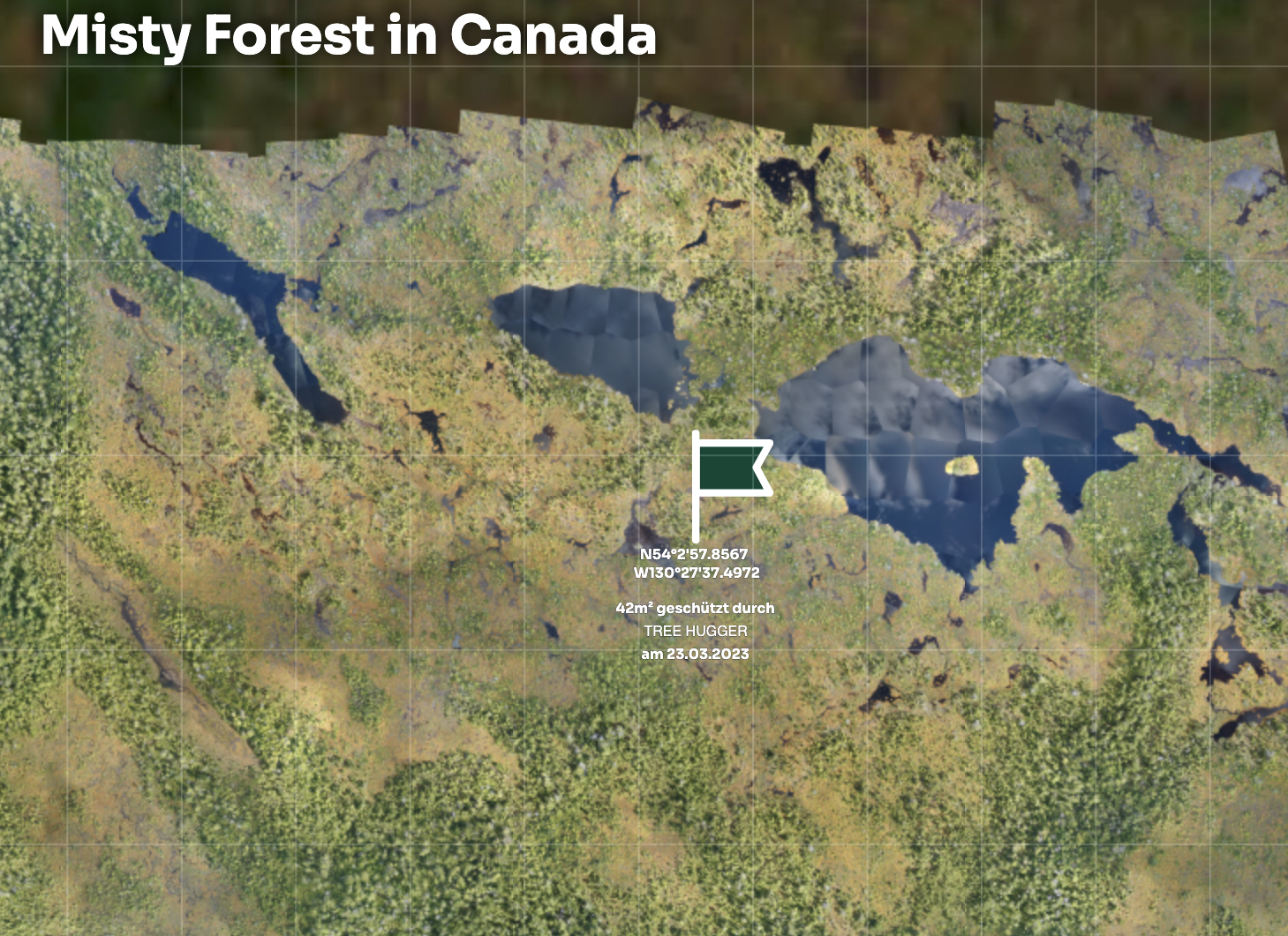 geschützte Waldfläche der Seed-NFTs der Tree Hugger NFT Collection von Trees4Eternity in Kanada